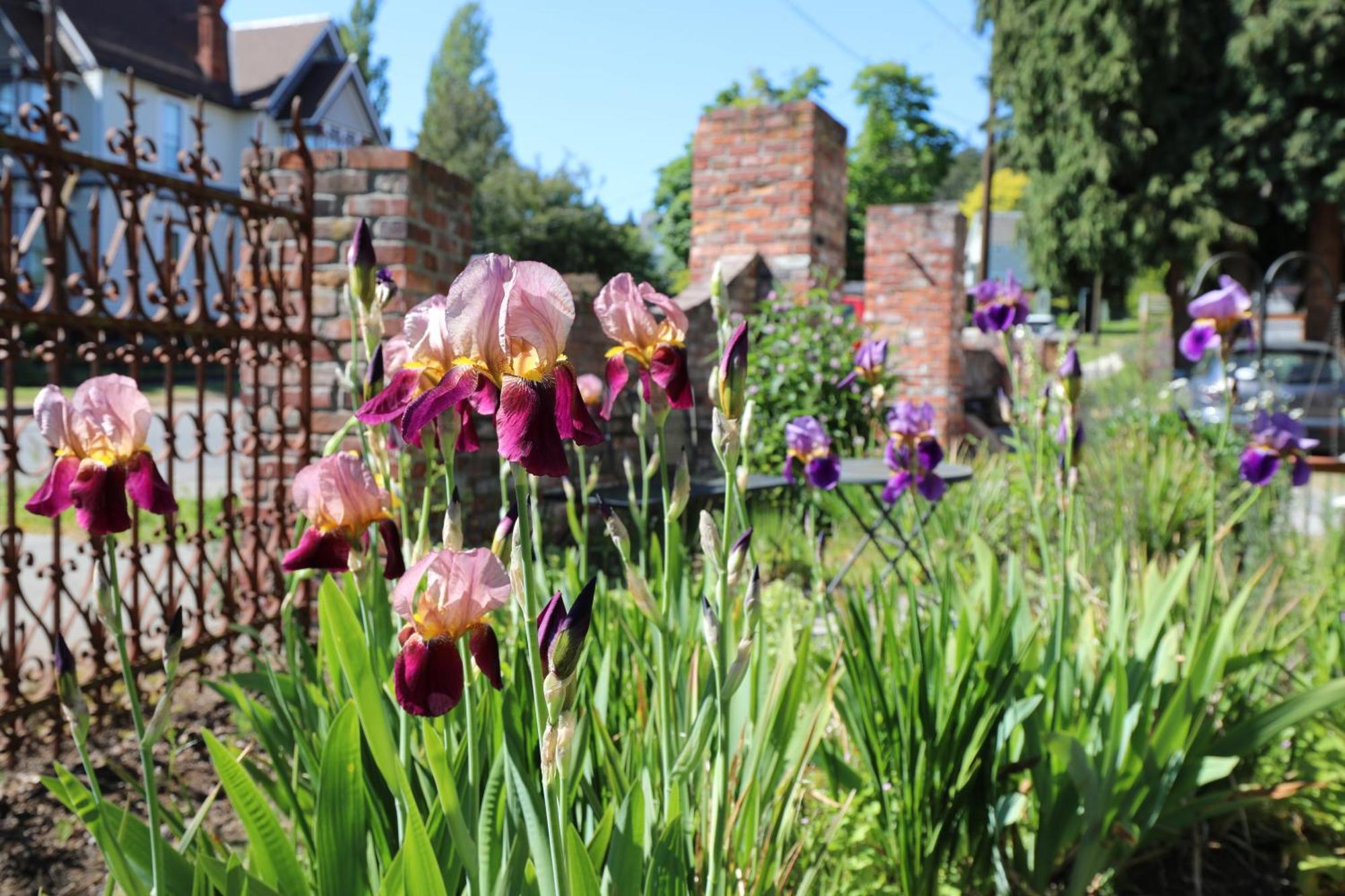 Adams Pragge House - Victorian Bed & Breakfast Port Townsend Exteriör bild