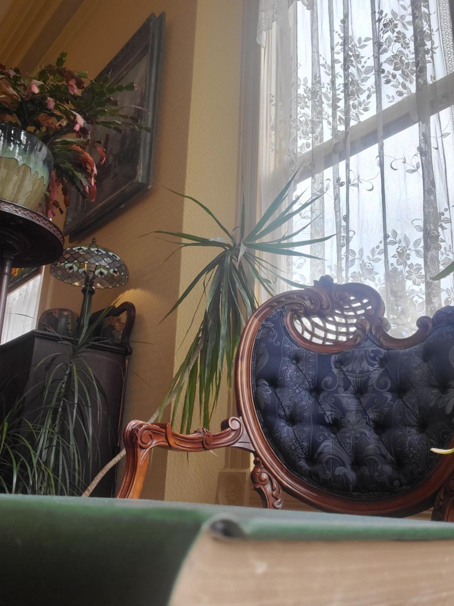 Adams Pragge House - Victorian Bed & Breakfast Port Townsend Exteriör bild